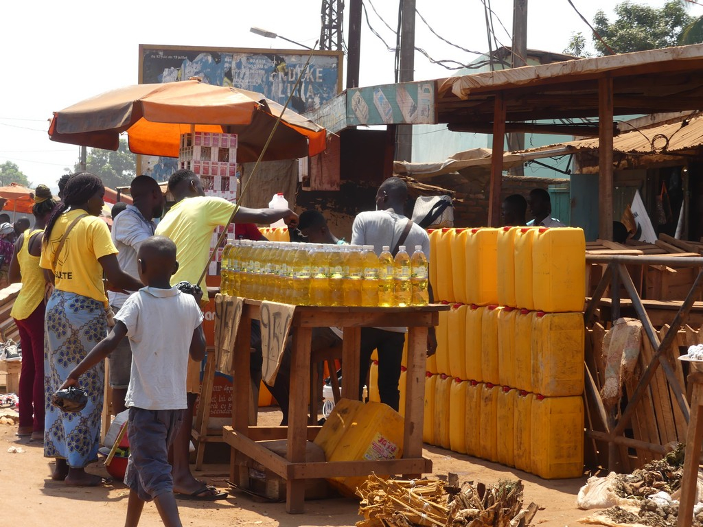 Les conséquences de l’exonération sur l’économie centrafricaine