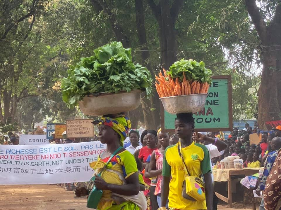 Centrafrique: fin de la foire aux semences à Berberati sur une note de satisfaction