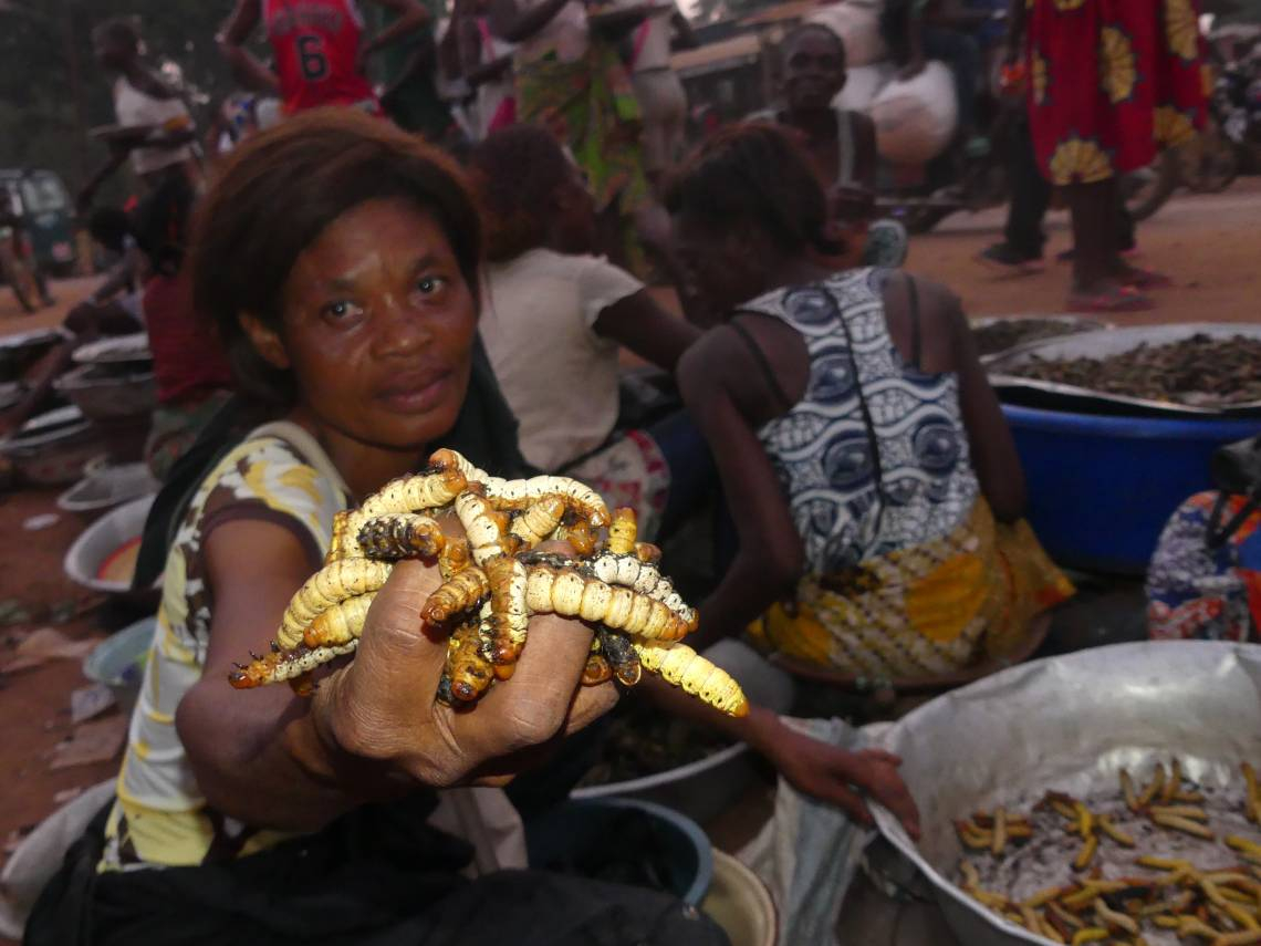 Centrafrique: les marchés de la capitale vêtus aux couleurs des chenilles