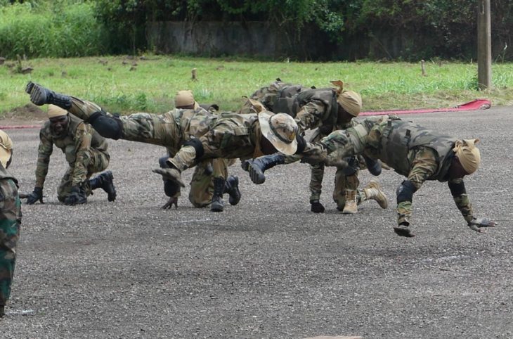 Le soutien de la société civile aux Forces armées centrafricaines