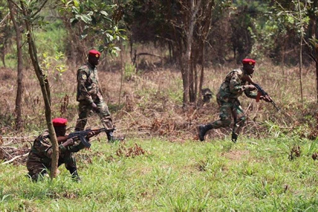 Bamingui-Bangoran : L’espoir renaît progressivement à Ndélé