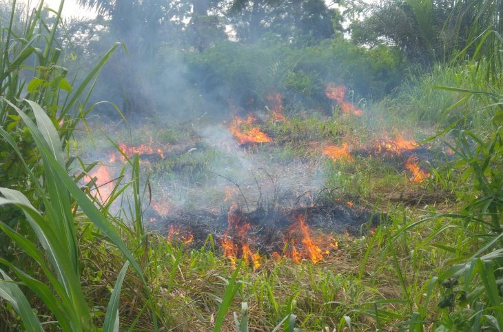 Centrafrique : 4 personnes tuées dans un incendie à Mala dans la Kémo
