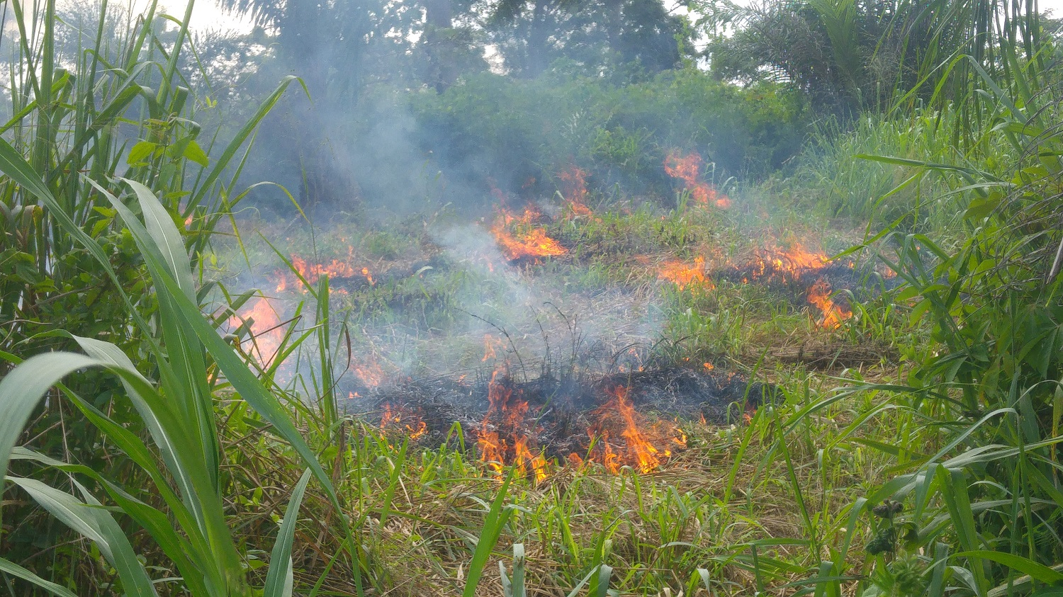 Centrafrique : 4 personnes tuées dans un incendie à Mala dans la Kémo