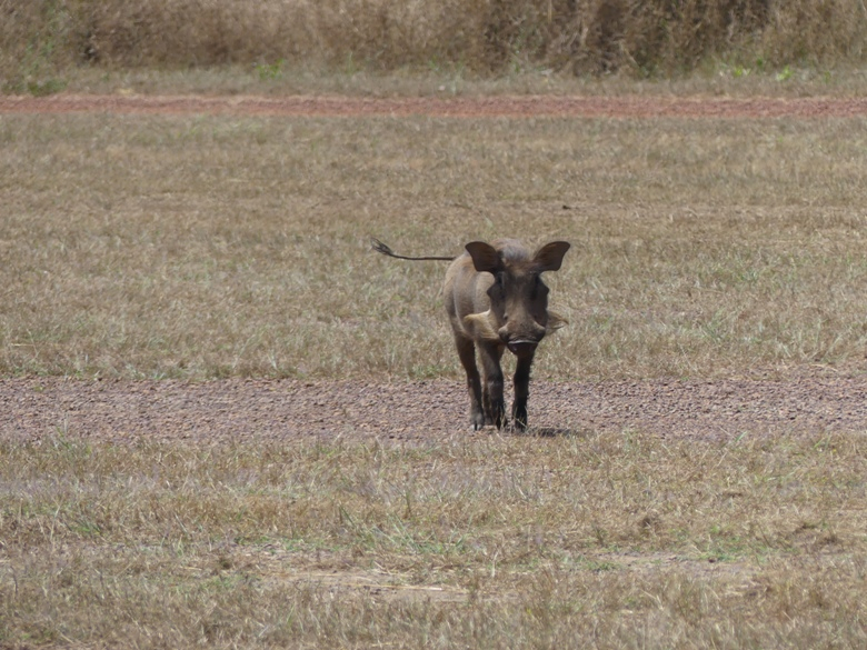  » La RCA peut gagner le pari du développement à travers le tourisme  » selon Ulrich Frédéric Lombé Zanza