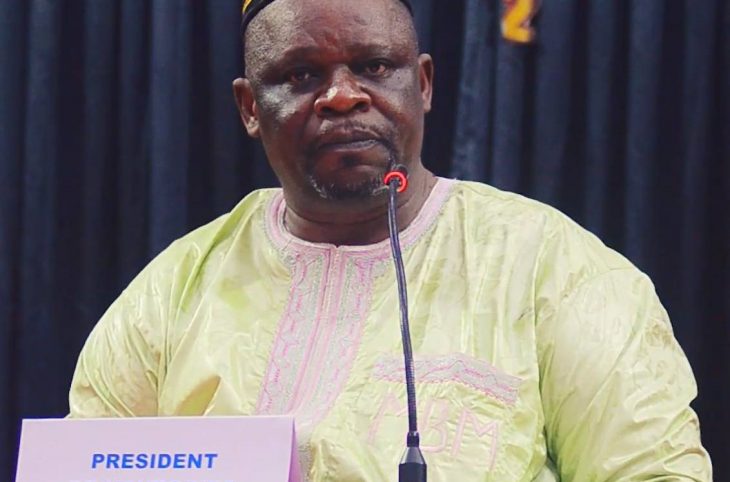 Centrafrique : l’ANE priorise le référendum constitutionnel au détriment des élections locales