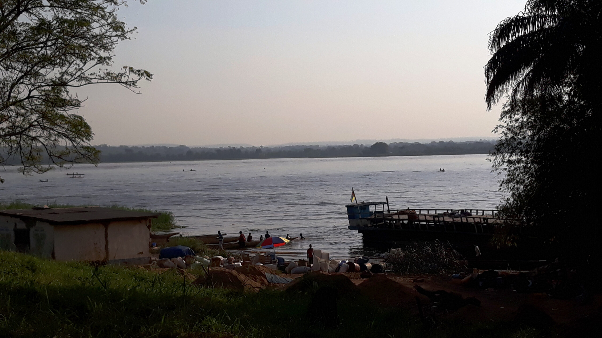 Centrafrique : face aux attaques d’hippopotames sur la rivière Oubangui, le poisson devient rare à Mobaye