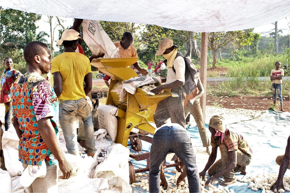 La culture du maïs : un incubateur pour booster l’économie des coopératives villageoises