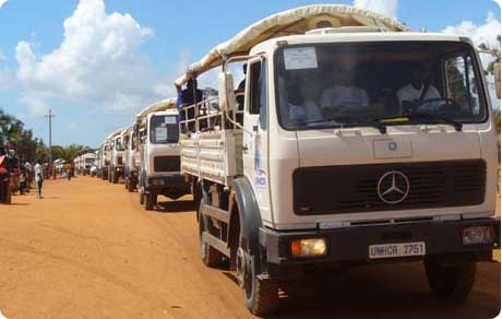 Transfert des réfugiés Congolais de Mongoumba à Batalimo