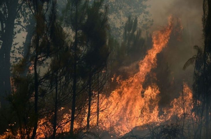 Centrafrique : consternation après l’incendie d’au moins 17 hectares de champ non loin de Bossangoa