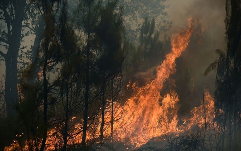 Centrafrique : consternation après l’incendie d’au moins 17 hectares de champ non loin de Bossangoa