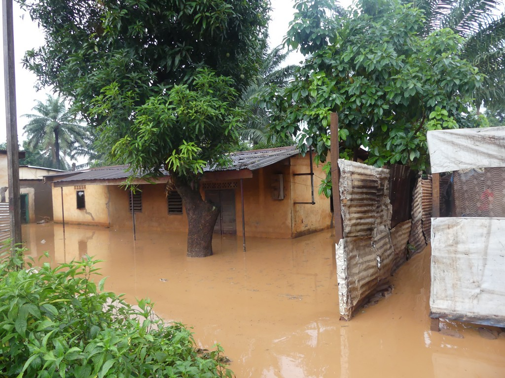 COP 24 : 3/4 de la population centrafricaine impactés par les effets du changement climatique