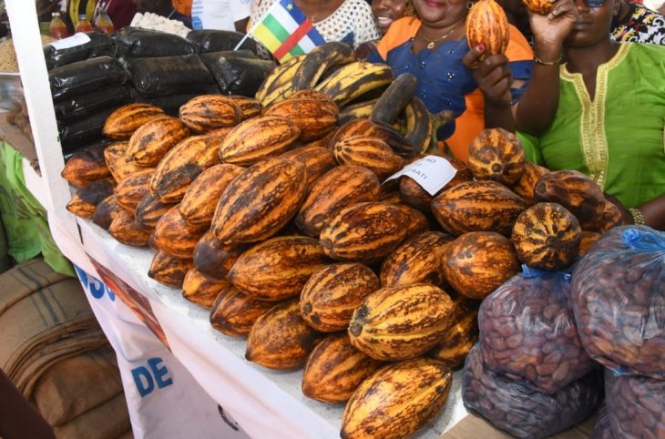 Célébration de la Journée mondiale de l’alimentation à Bouar. Quel est le bilan ?