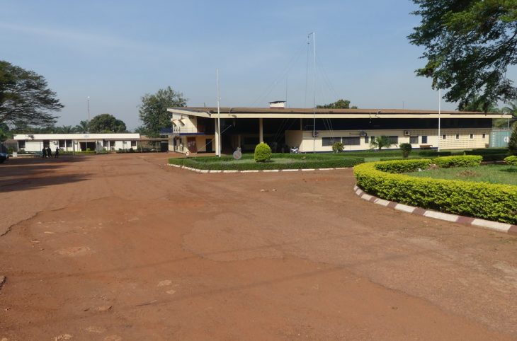 Les non-dits de nouveaux titres de transports avec Mr Nguélékoumon