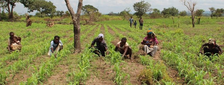 Le groupement "Main dans la Main" nourrit la population de Carnot