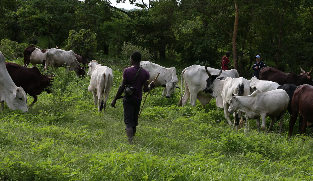 « Problématique de la transhumance, au menu du magazine agropastoral »