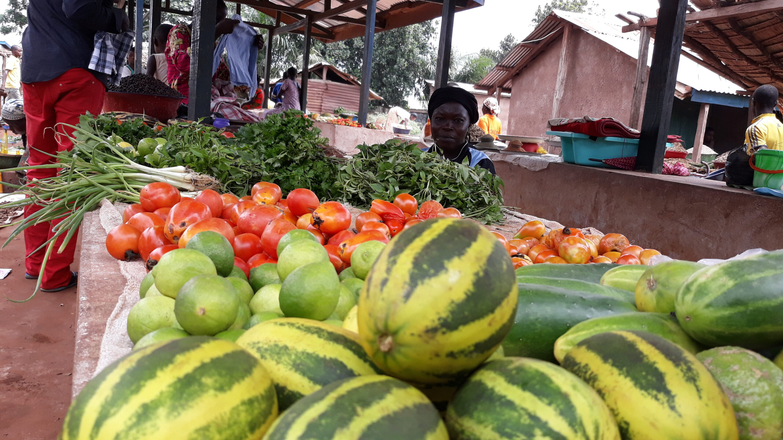 Bangui : La flambée du prix des légumes inquiète les consommateurs