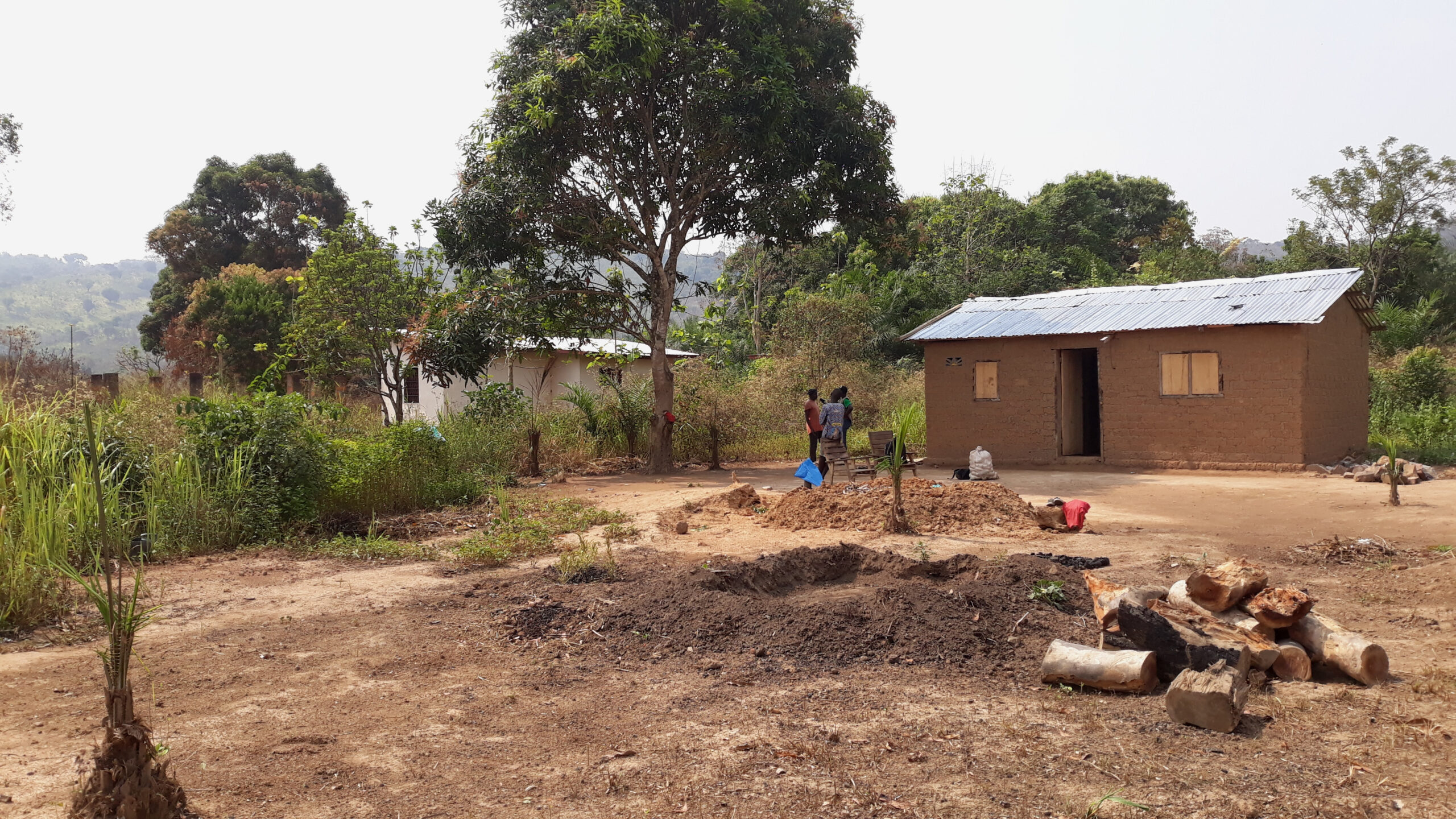 Centrafrique: timide reprise de vie à Yassara derrière la colline de Bas-Oubangui après les opérations de ratissage menées par les FACA