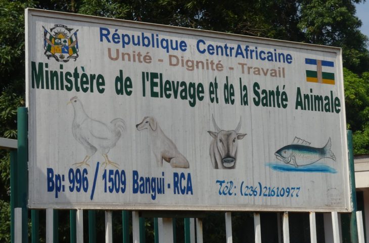 RCA : Fin d'intérim au Ministère de l'Elevage, Amadou Bi Aliou prend ses fonctions