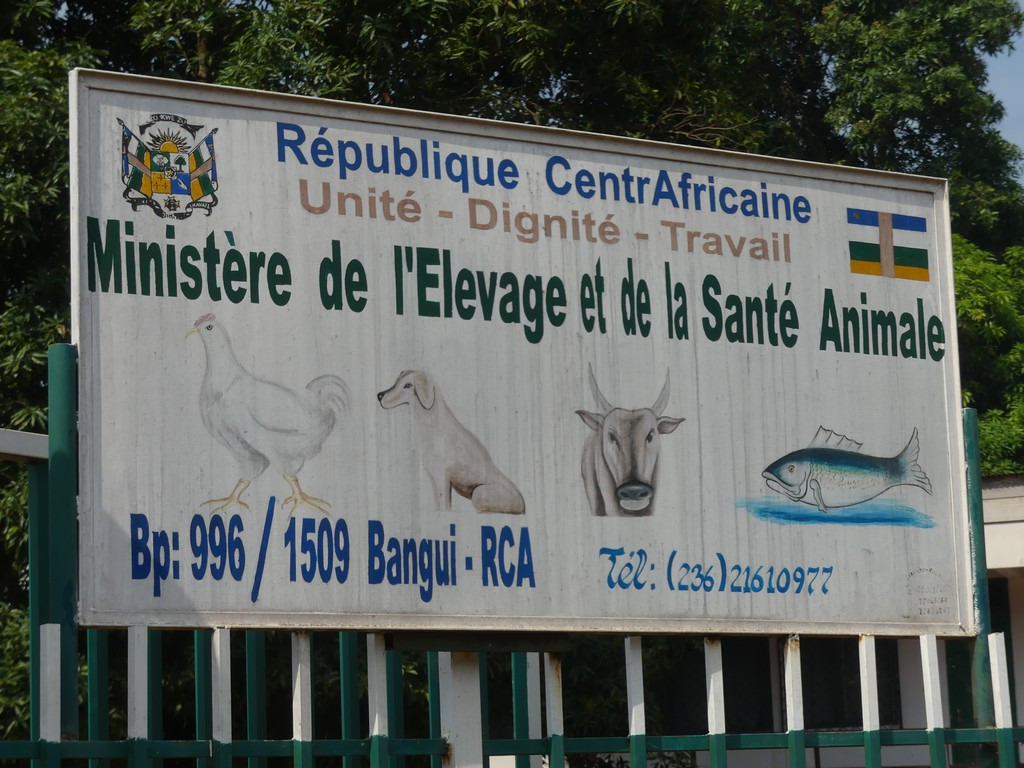 RCA : Fin d’intérim au Ministère de l’Elevage, Amadou Bi Aliou prend ses fonctions