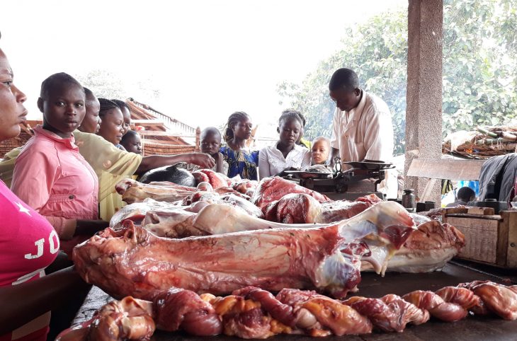 Hausse du prix de la viande de bœuf sur les marchés de Bangui