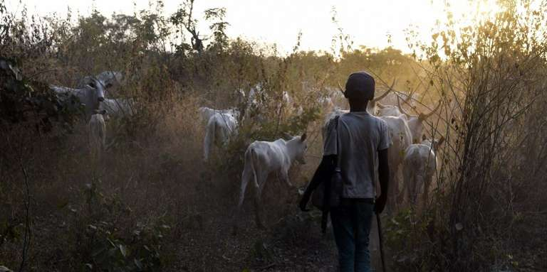 RCA : La FERJEC déplore la reprise des activités de ses adhérents dans l’Ouest