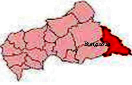 Frappe de la LRA dans une aurifère à Bangassou, une personne grièvement blessée