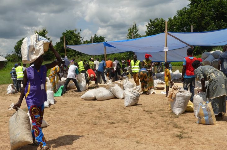 La relance de l'agriculture pour la campagne 2018-2019 appuyée par la FAO en RCA