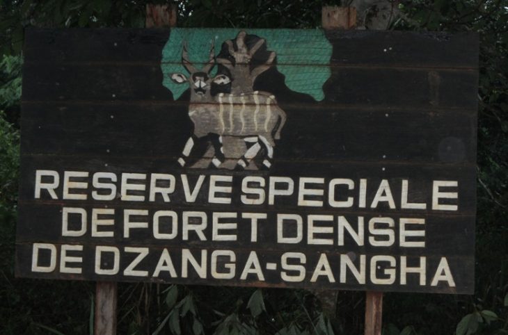 L’apport du secteur touristique dans l’économie