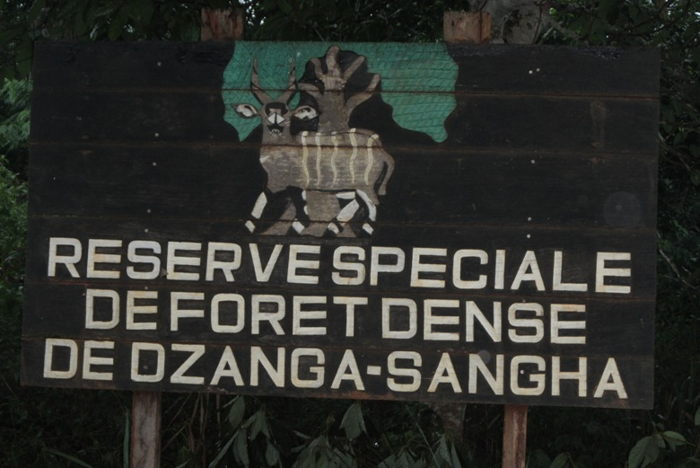 L’apport du secteur touristique dans l’économie