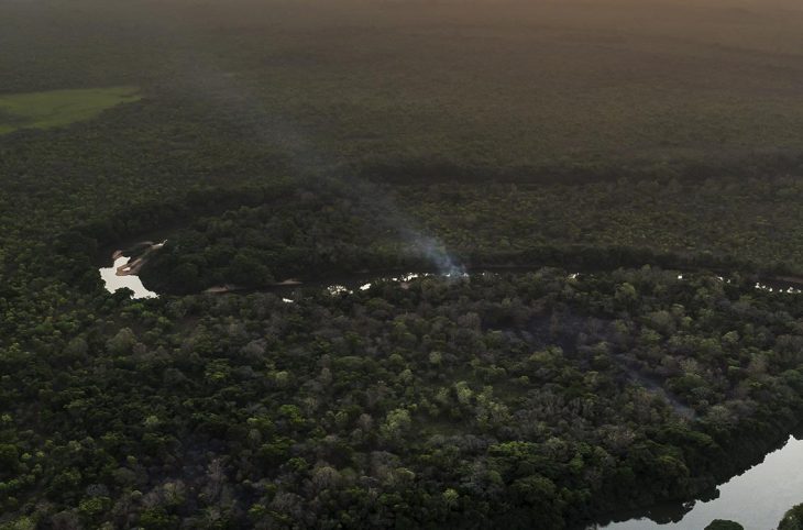 RCA-projet Chinko: des progrès observés dans la conservation de la biodiversité