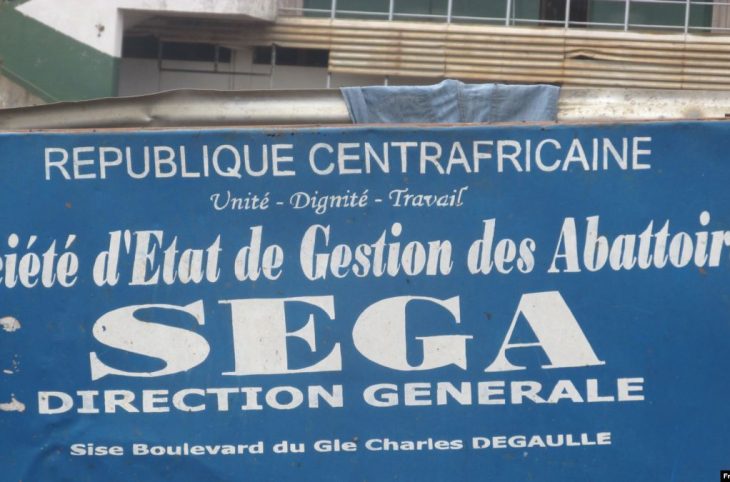 SEGA : Dans quelles conditions les bœufs sont-ils abattus ?