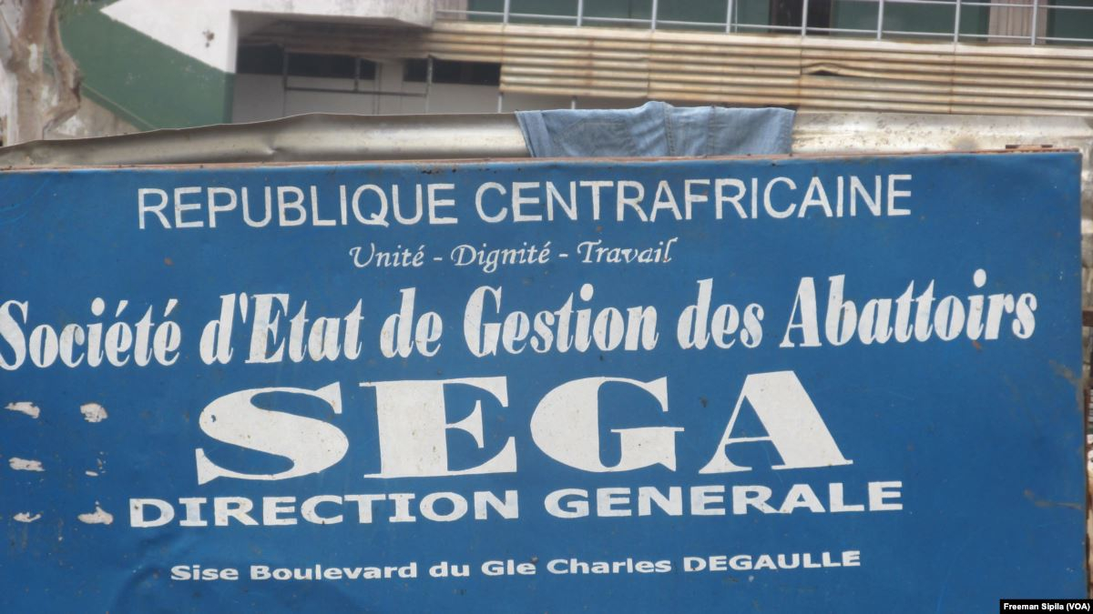 SEGA : Dans quelles conditions les bœufs sont-ils abattus ?