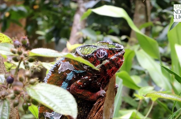 COP 24 / La RCA face aux effets du dérèglement climatique