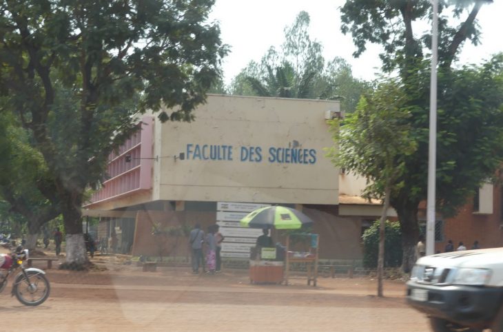 La Faculté des Sciences de l'Université de Bangui élargit les recherches sur le maïs