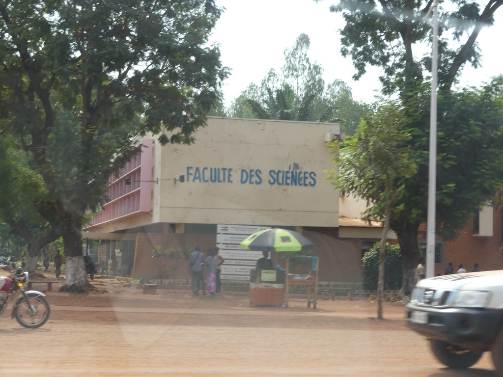 La Faculté des Sciences de l’Université de Bangui élargit les recherches sur le maïs