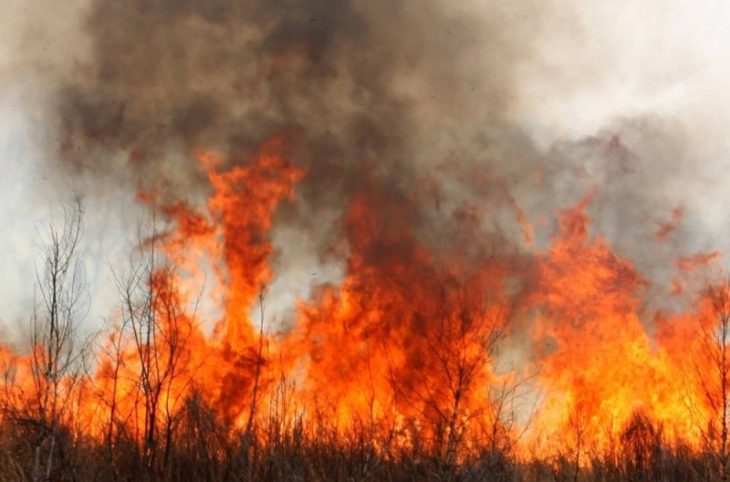 Mag/Agropastoral: Que faire pour empêcher les feux de brousse qui menacent les plantations ?