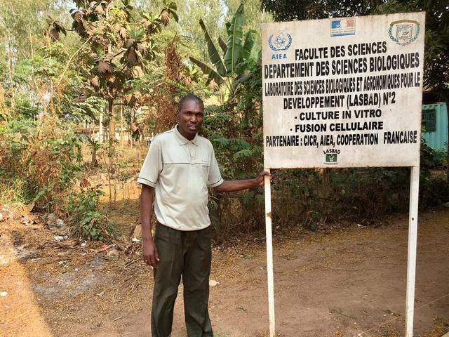L’Université de Bangui s’implique dans la recherche pour une meilleure production  de manioc