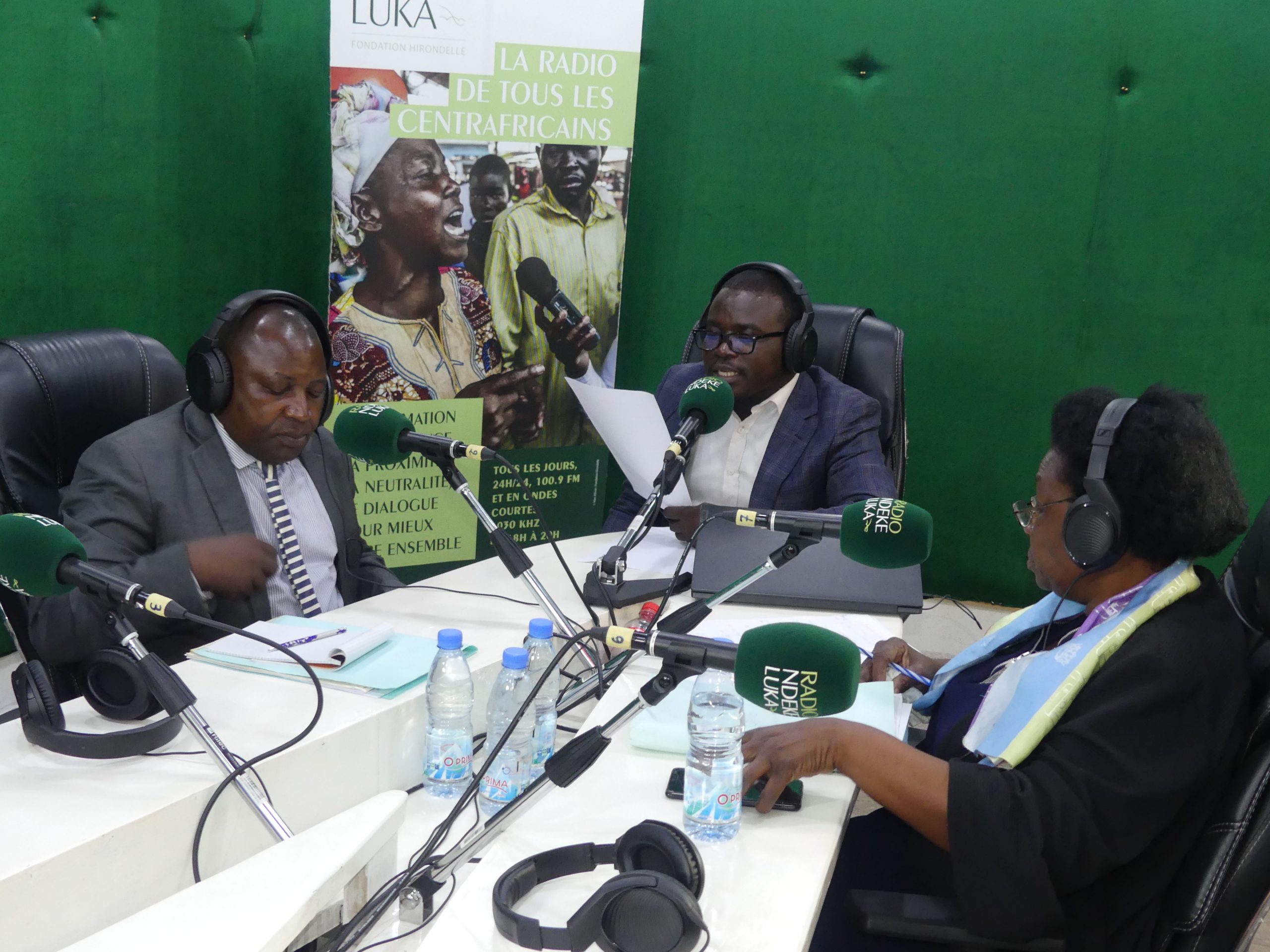 Qu’est-ce qui explique la remise en cause, par la Cour constitutionnelle, des actes juridiques du gouvernement ?