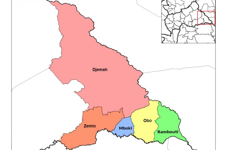 Centrafrique : la ville de Mboki secouée par des combats entre la milice locale A Zandé Ani Kpi Gbé et l’UPC