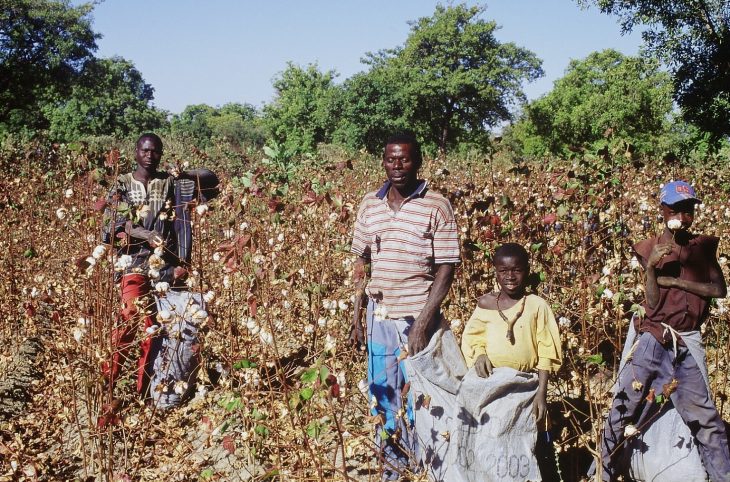 Que savoir du calendrier agricole ?