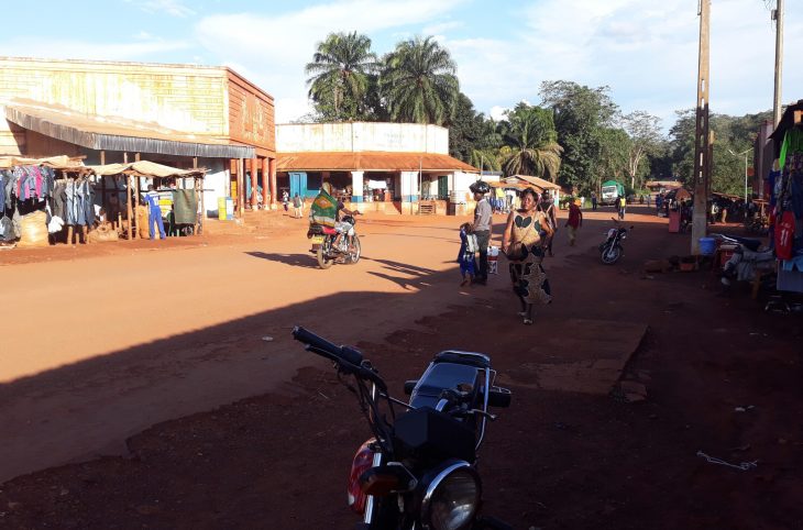 Centrafrique : la jeunesse de la Ouaka appelée à s’engager dans la protection de l’environnement