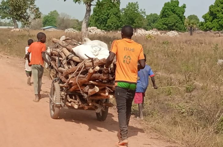 Centrafrique: la relance de l’économie agricole alimentée par le travail des enfants à Paoua