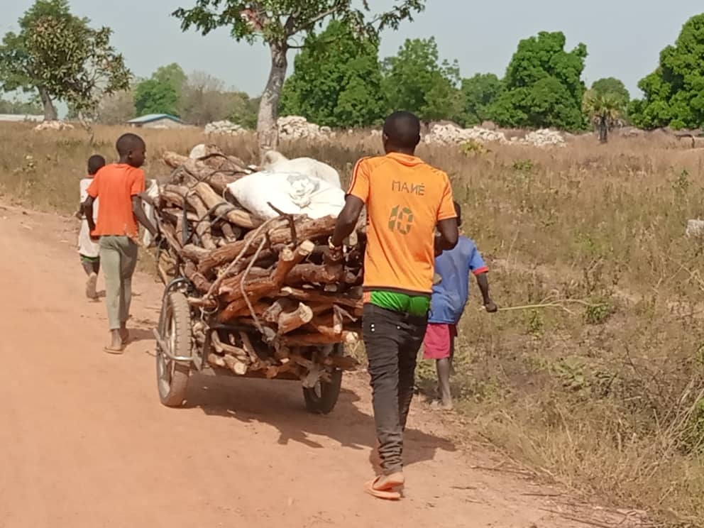 Centrafrique: la relance de l’économie agricole alimentée par le travail des enfants à Paoua