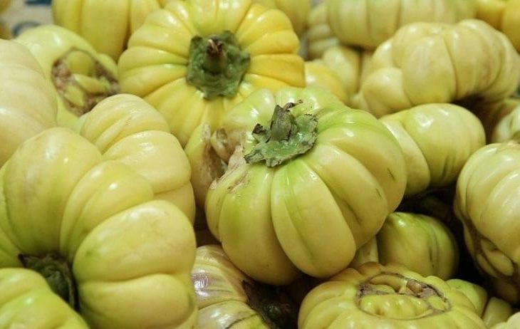 La culture de l’aubergine au menu du magazine agropastoral