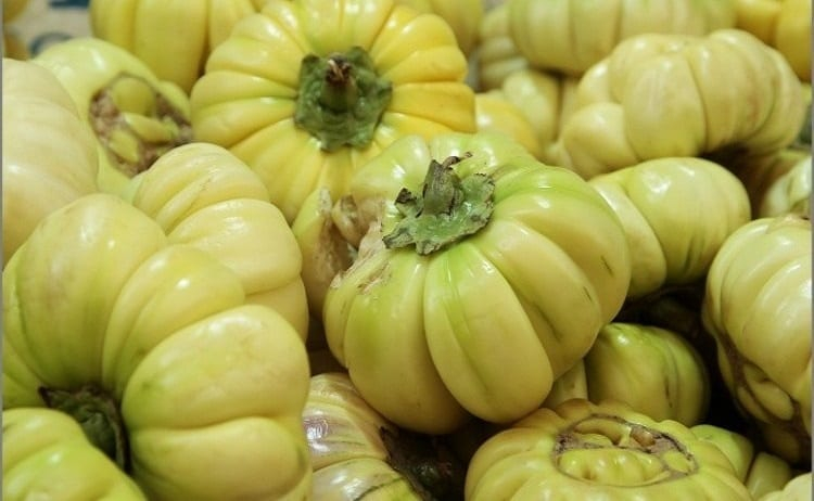 La culture de l’aubergine au menu du magazine agropastoral