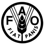 La FAO au secours de l’élevage centrafricain