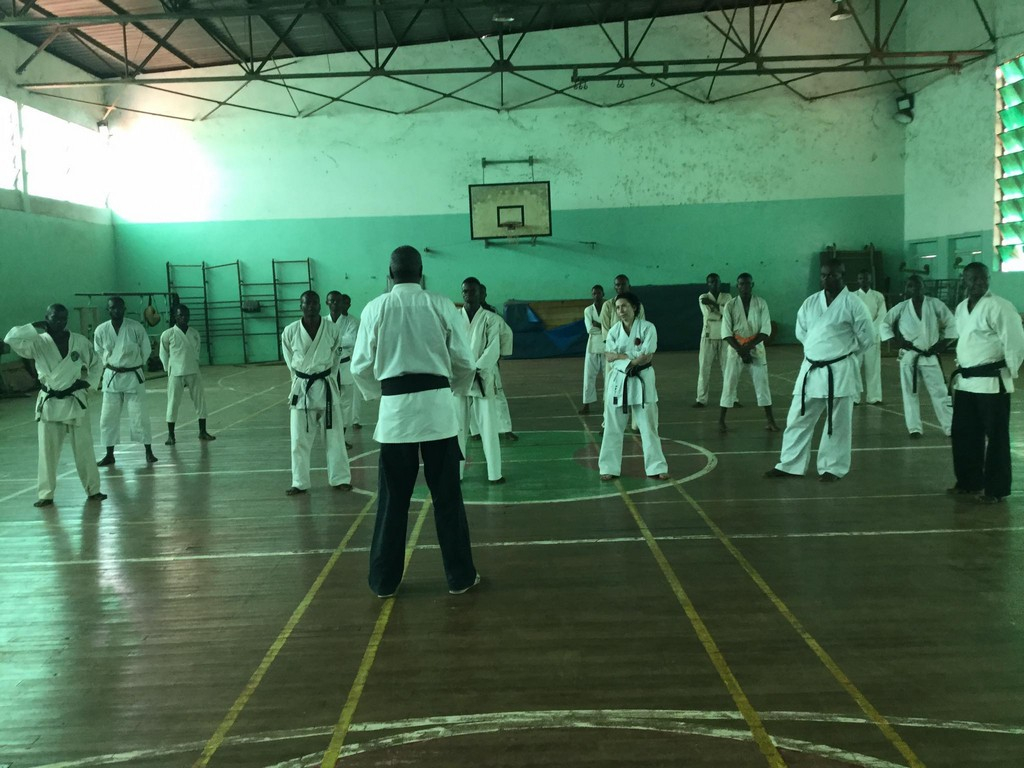 Sport : Le karaté est en bonne santé selon Fidèle Gouandjika.