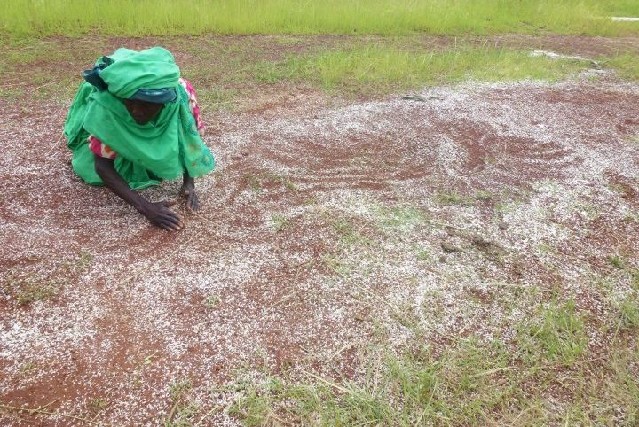 Crise alimentaire aigüe dans le Nord, l’Onu invite les donateurs à accorder la priorité à la RCA