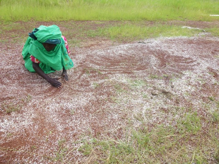 Crise alimentaire aigüe dans le Nord, l’Onu invite les donateurs à accorder la priorité à la RCA