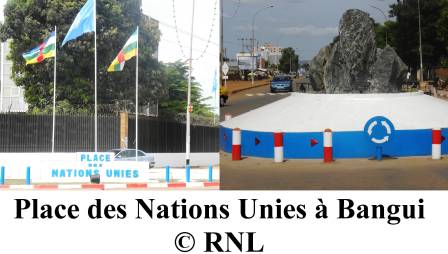 ONG des droits de l’homme, édifiées pour le processus électoral